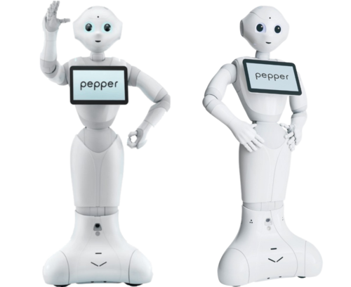 pepper机器人两个.png