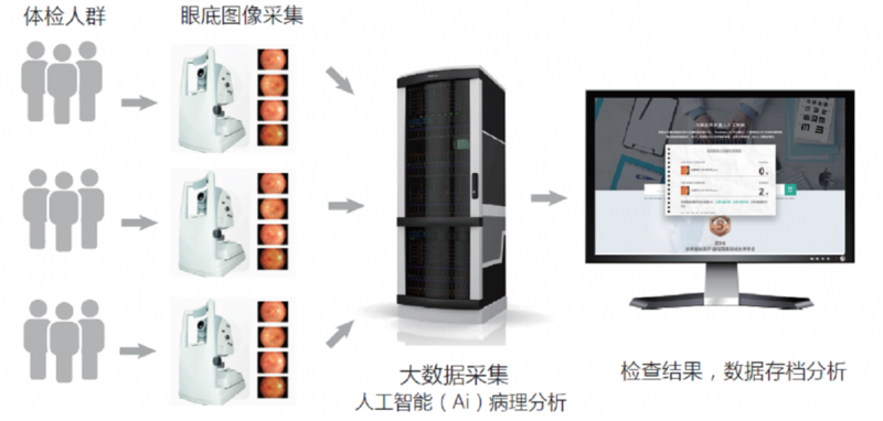 糖尿病眼底检测流程-1-1024x489.png